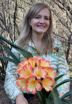 Mature/Flowering Clivias - Summer Blaze